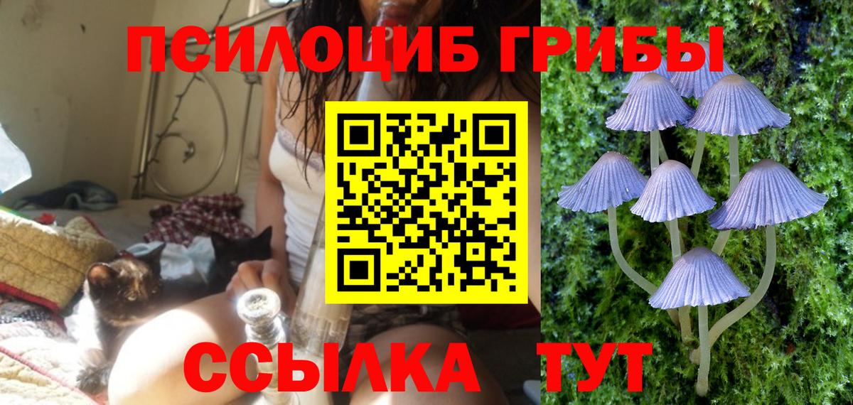 Галлюциногенные грибы ЛСД Химки