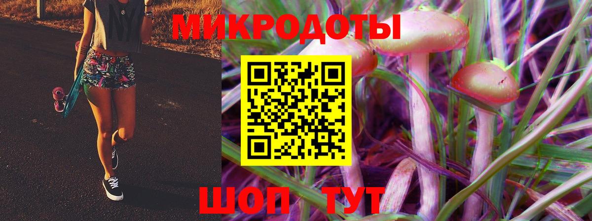 Химки  Псилоцибиновые грибы Psilocybine cubensis  Вход с VPN 